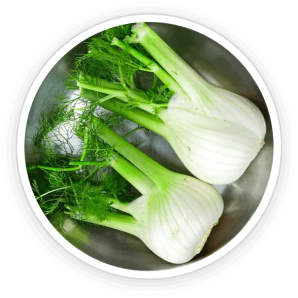 PrimeBiome ingredient-4